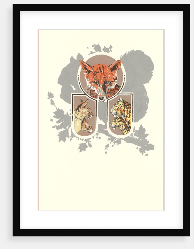 Fox, Lynx, Cougar and Squirrel Graphic by Anonymous
