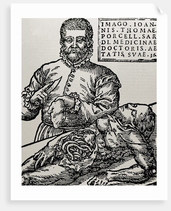 John Thomas Porcell (XVI century) by Anonymous