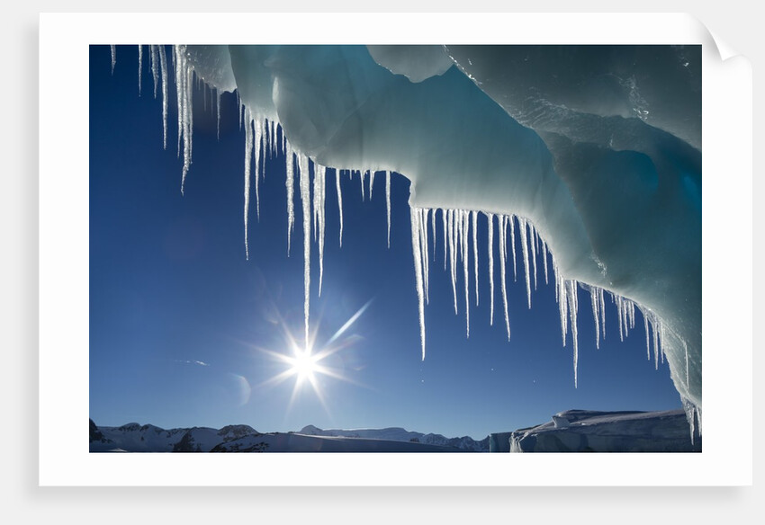 Iceberg in Lemaire Channel, Antarctica by Anonymous