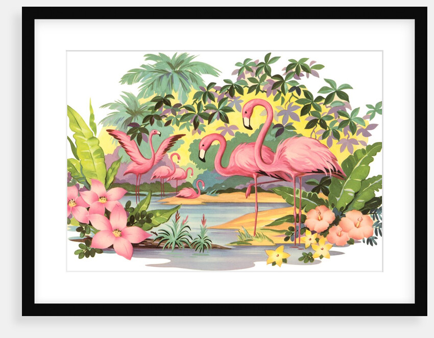 Flamingos in the Tropics by Anonymous