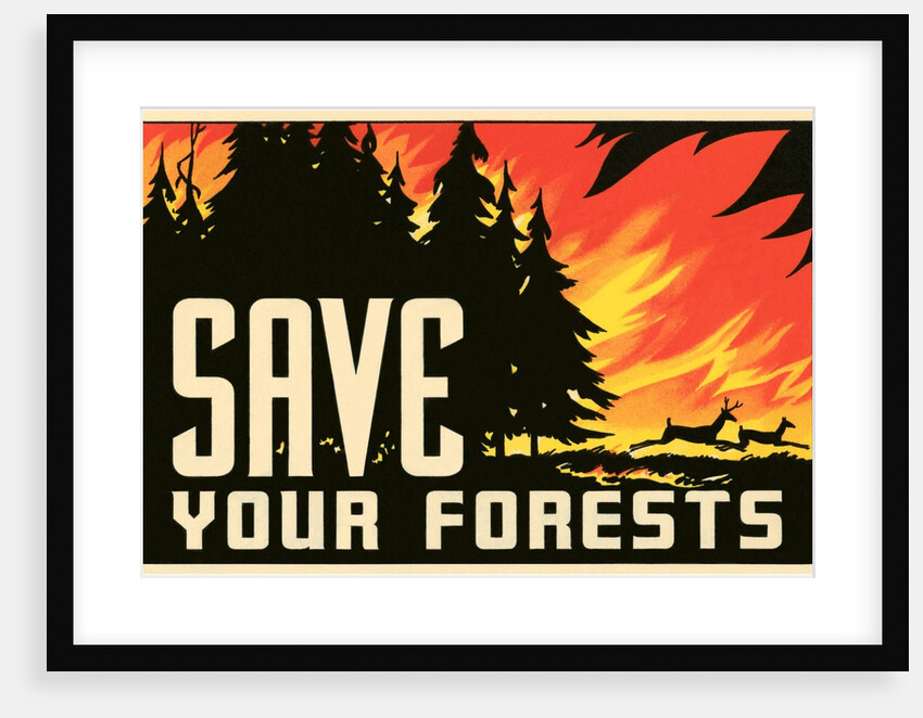 Save Your Forests Poster by Anonymous