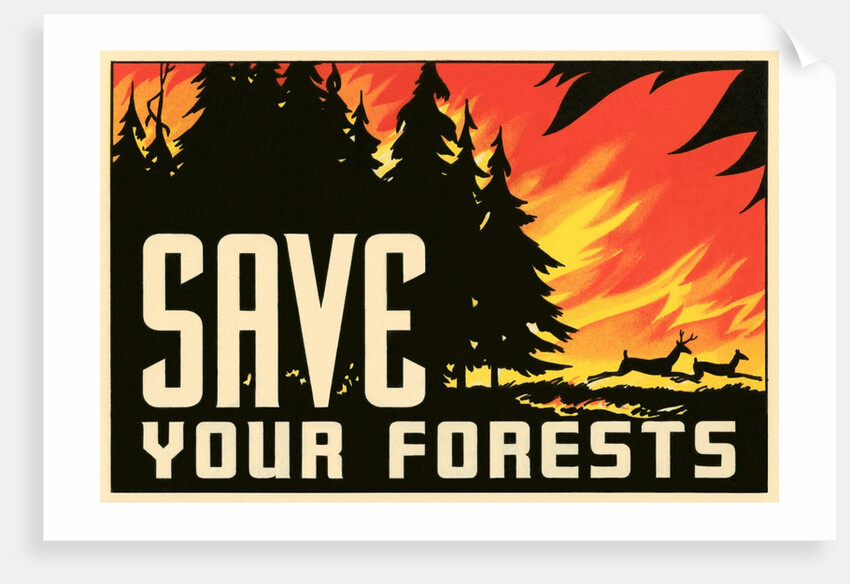 Save Your Forests Poster by Anonymous