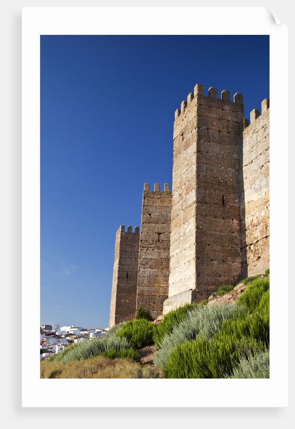 Burgalimar Castle in Andalusia, Spain by Anonymous