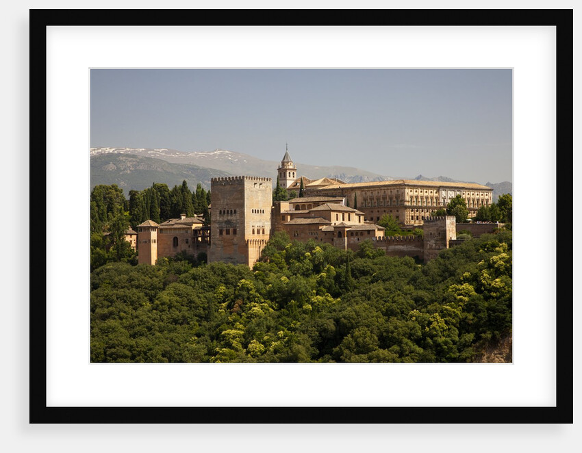 Alhambra Palace in Andaluisa, Spain by Anonymous