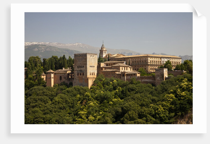 Alhambra Palace in Andaluisa, Spain by Anonymous