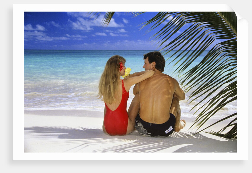 Couple On Tropical Beach With Palm Frond Ocean And Sky by Anonymous