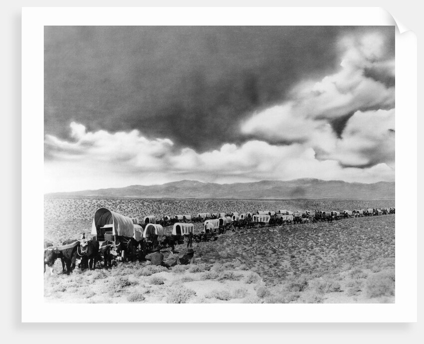 1860s 1870s line of covered wagons crossing American plains by Anonymous