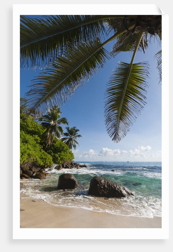 Mahe, Seychelles by Anonymous