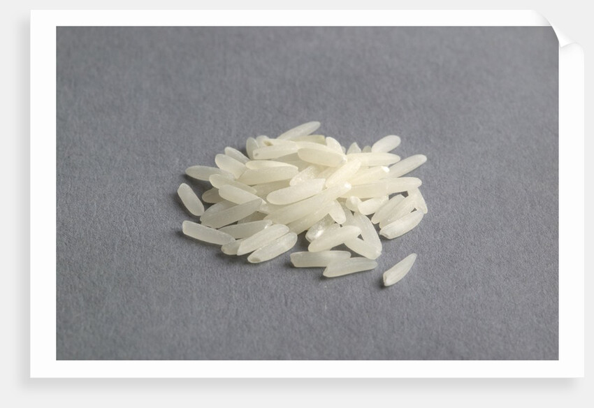 Basmati rice by Anonymous