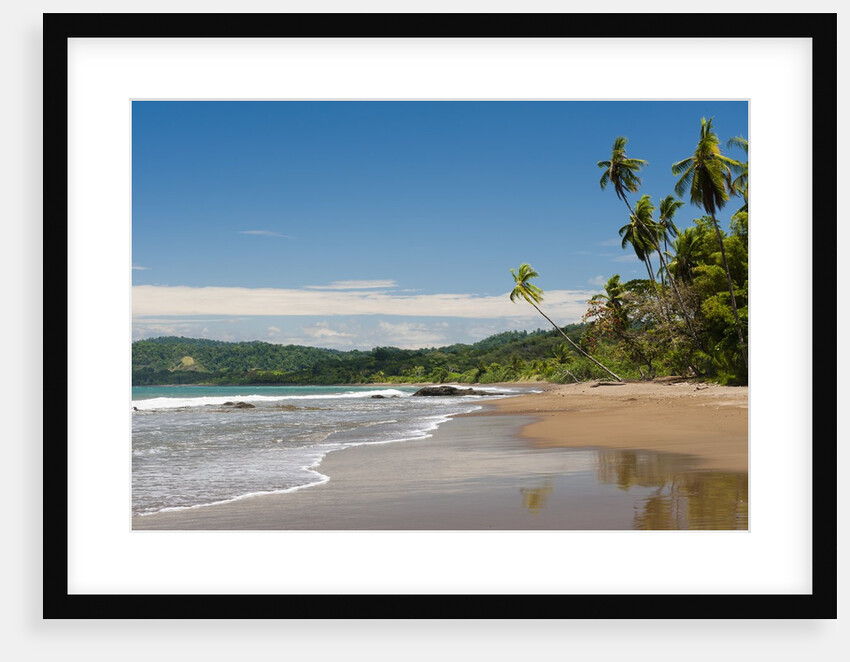 Osa peninsula, Costa Rica. by Anonymous