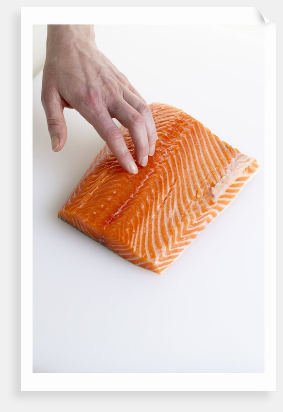 Salmon fillet by Anonymous
