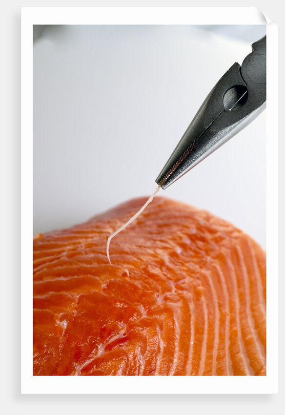 Deboning a salmon fillet by Anonymous