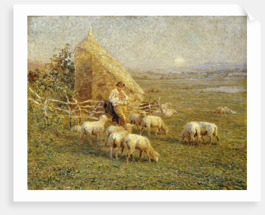 A Shepherd and his Sheep in a Meadow by Tom Griffiths