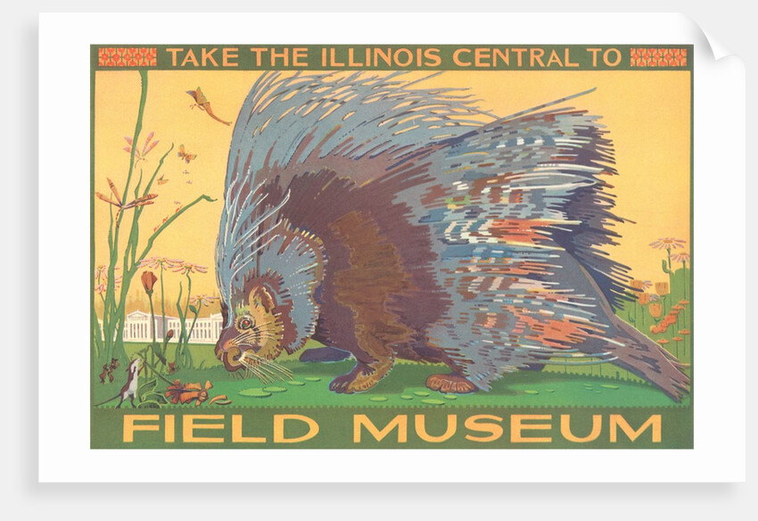 Poster for Field Museum with Porcupine by Anonymous