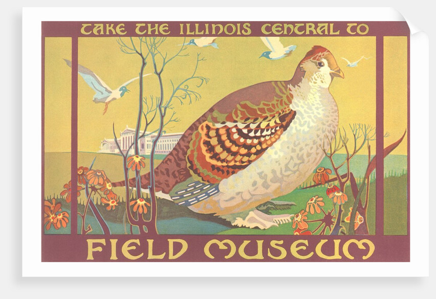 Poster for Field Museum with Quail by Anonymous