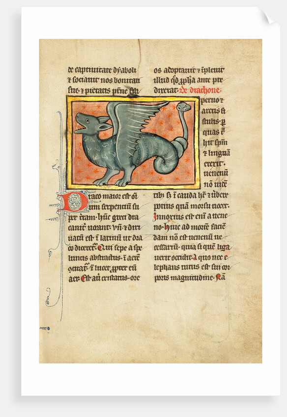 A Winged Dragon by Anonymous