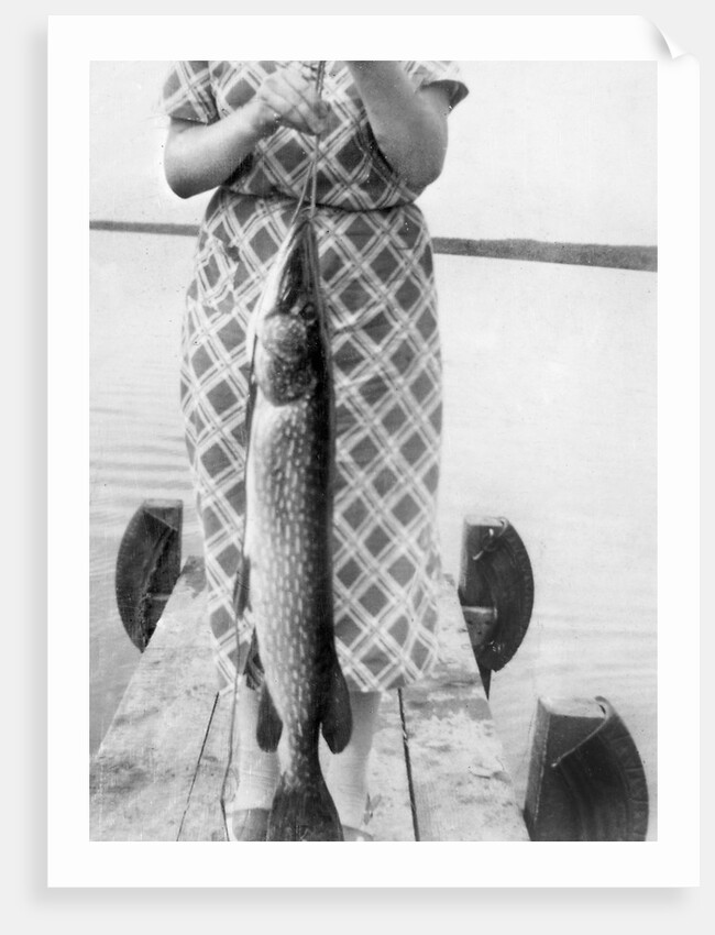 Woman holds on large Northern Pike on a lake pier, ca. 1950. by Anonymous