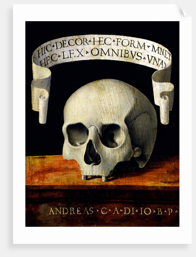 Skull of a Man - Memento Mori by Andrea Previtali