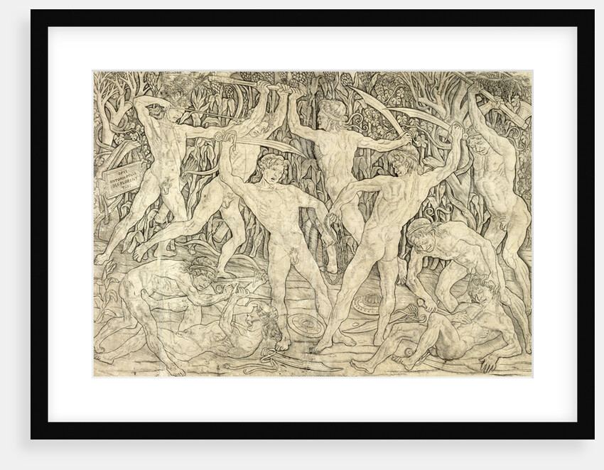 Battle of the Nudes by Antonio del Pollaiolo
