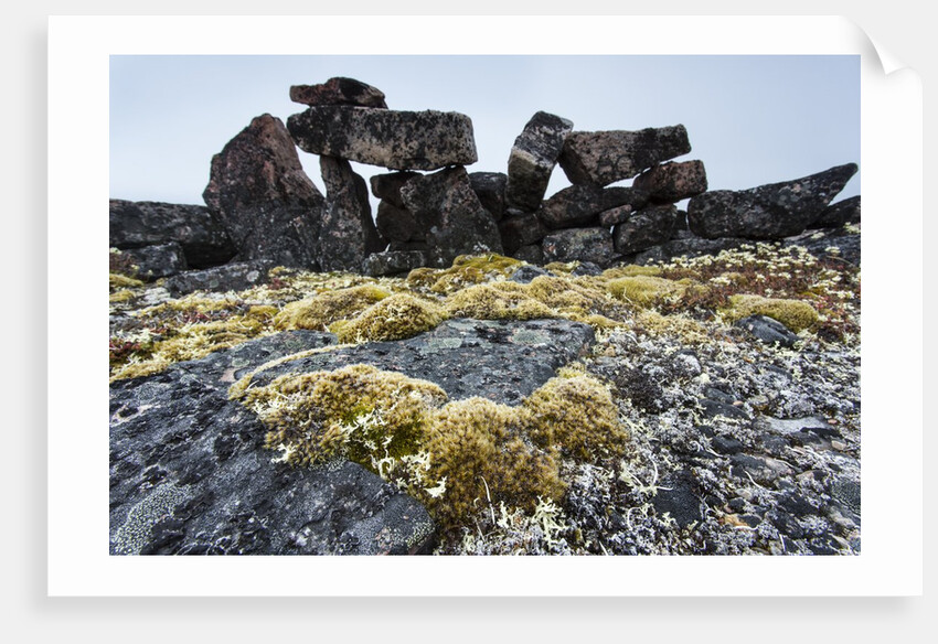 Tent Rings, Nunavut, Canada by Anonymous