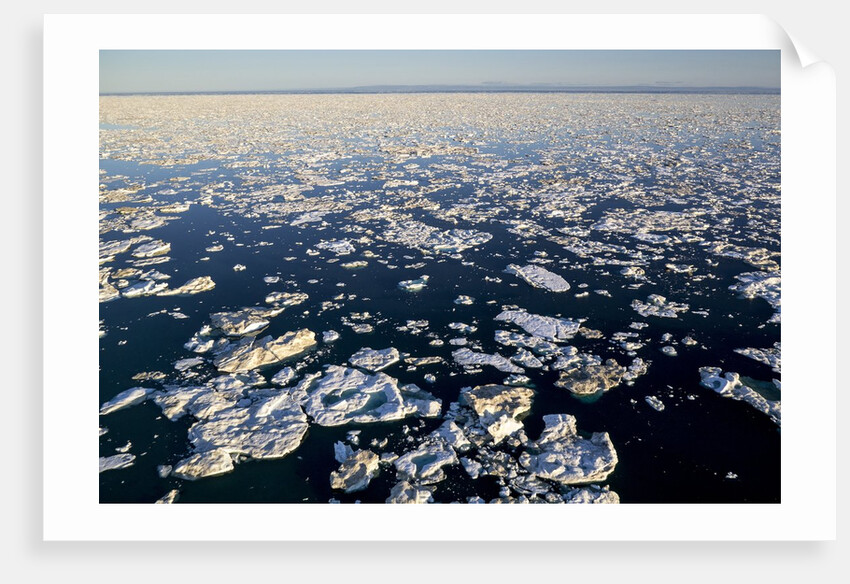 Sea Ice, Hudson Bay, Nunavut, Canada by Anonymous