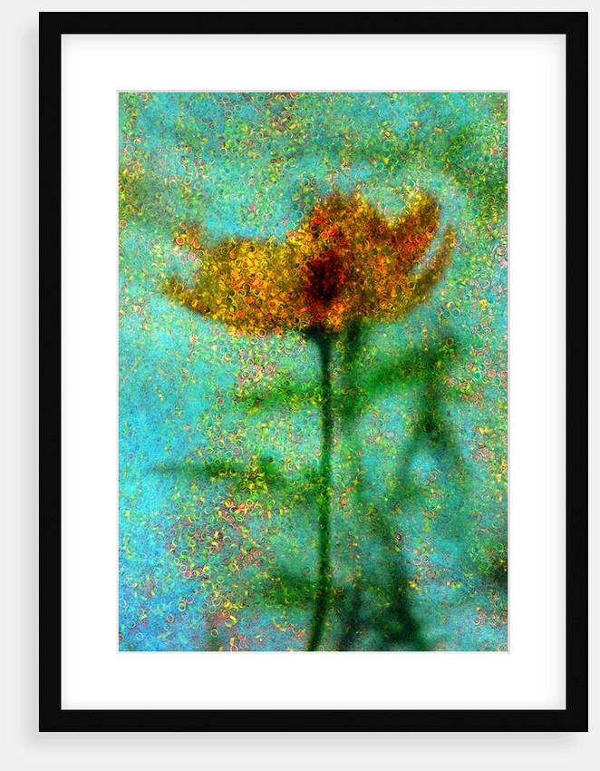 Yellow Flower. by Anonymous