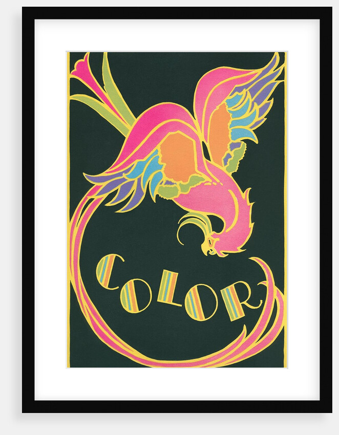 Color, Fantastic Bird by Anonymous
