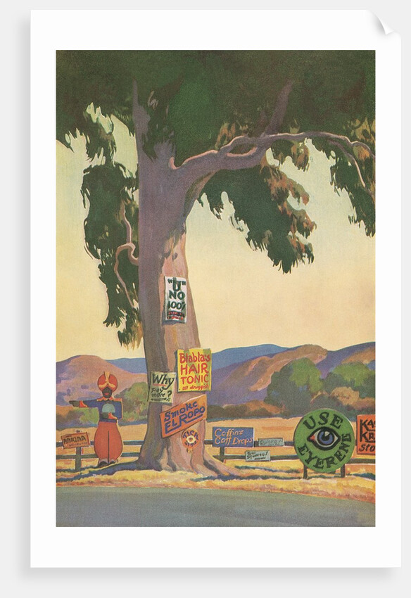 Roadside Eucalyptus, Signs by Anonymous