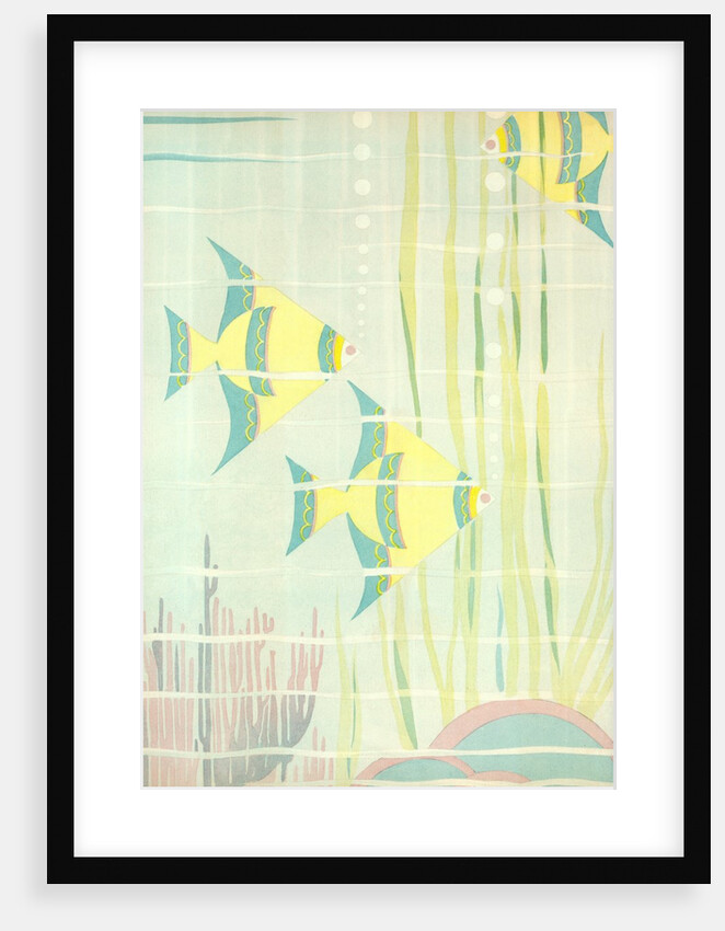 Angel Fish in Coral by Anonymous