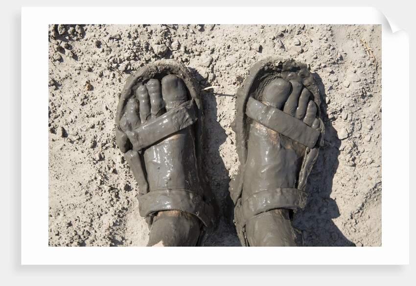 Mud-covered Feet, Chobe National Park, Botswana by Anonymous