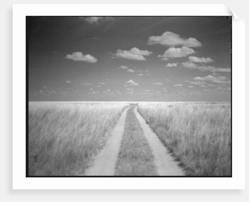 Makgadikgadi Pans National Park, Botswana by Anonymous