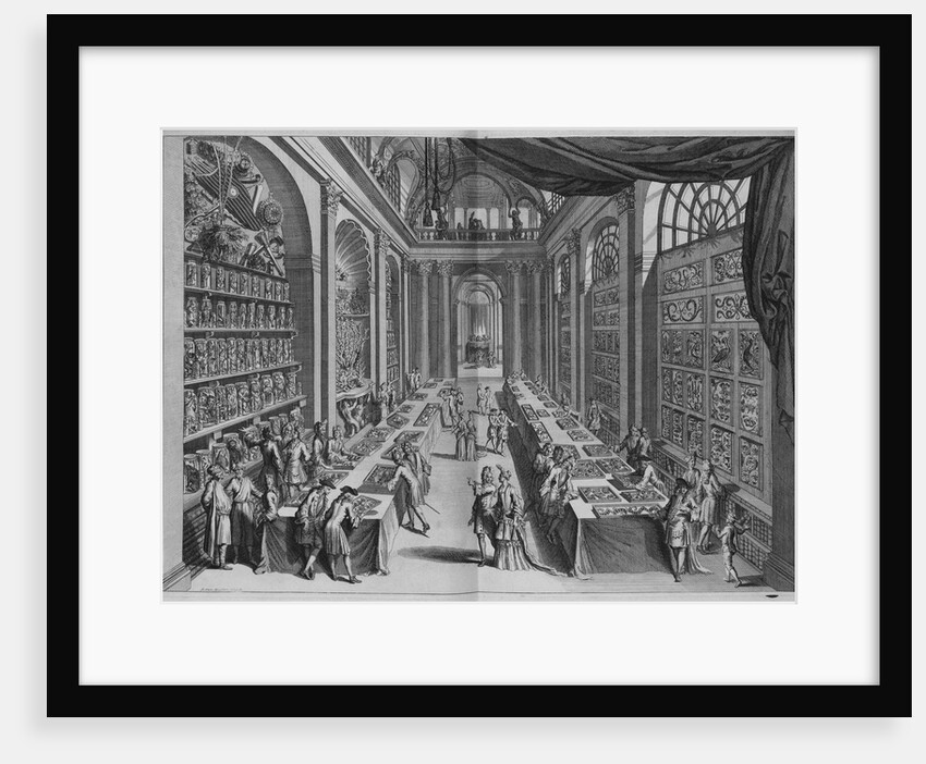 Natural History Collection by Levinus Vincent