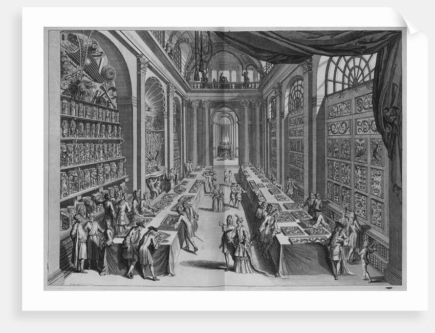 Natural History Collection by Levinus Vincent