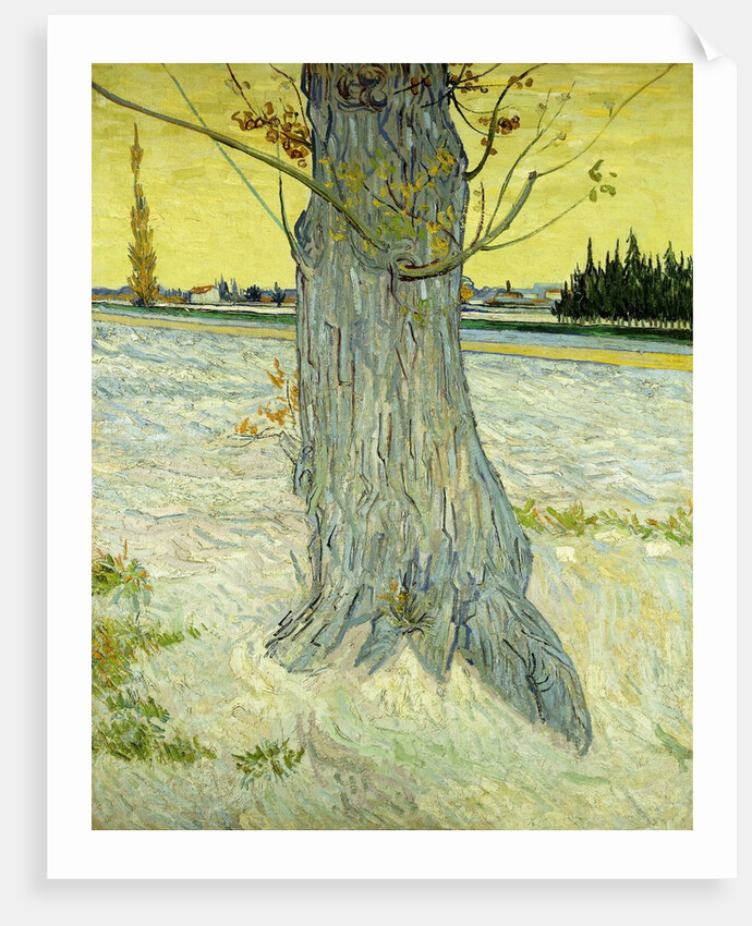 The Old Tree by Vincent Van Gogh
