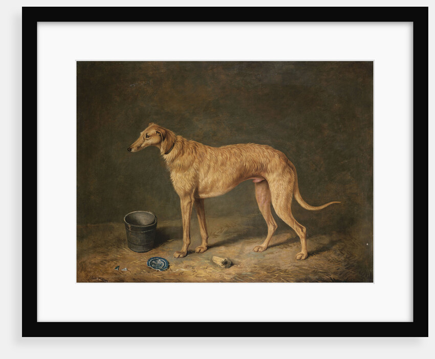 A Deerhound in a Stable Interior by James Barenger