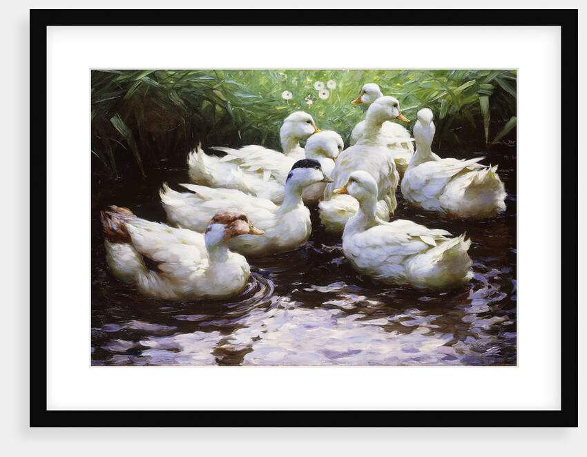 Ashore (Ducks) by Alexander Koester
