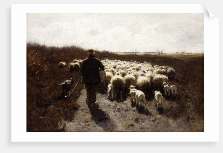 Return of the Flock by Anton Mauve