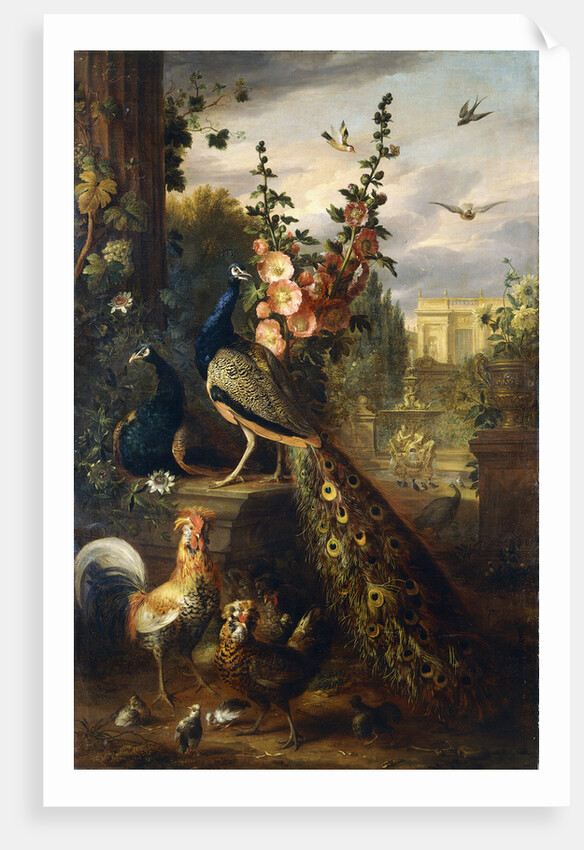 Two Peacocks on a Stone Plinth in a Garden by Jakob Bogdany