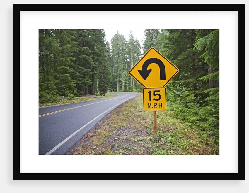 A signpost on a forest road warning of a U turn in the Cascade Mountains of Central Oregon by Anonymous