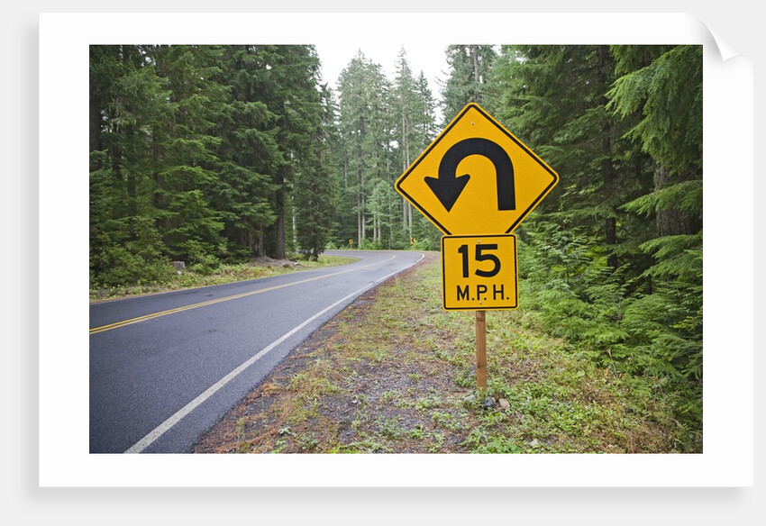 A signpost on a forest road warning of a U turn in the Cascade Mountains of Central Oregon by Corbis