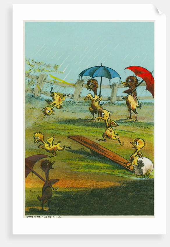 Ducklings in the Rain by Anonymous