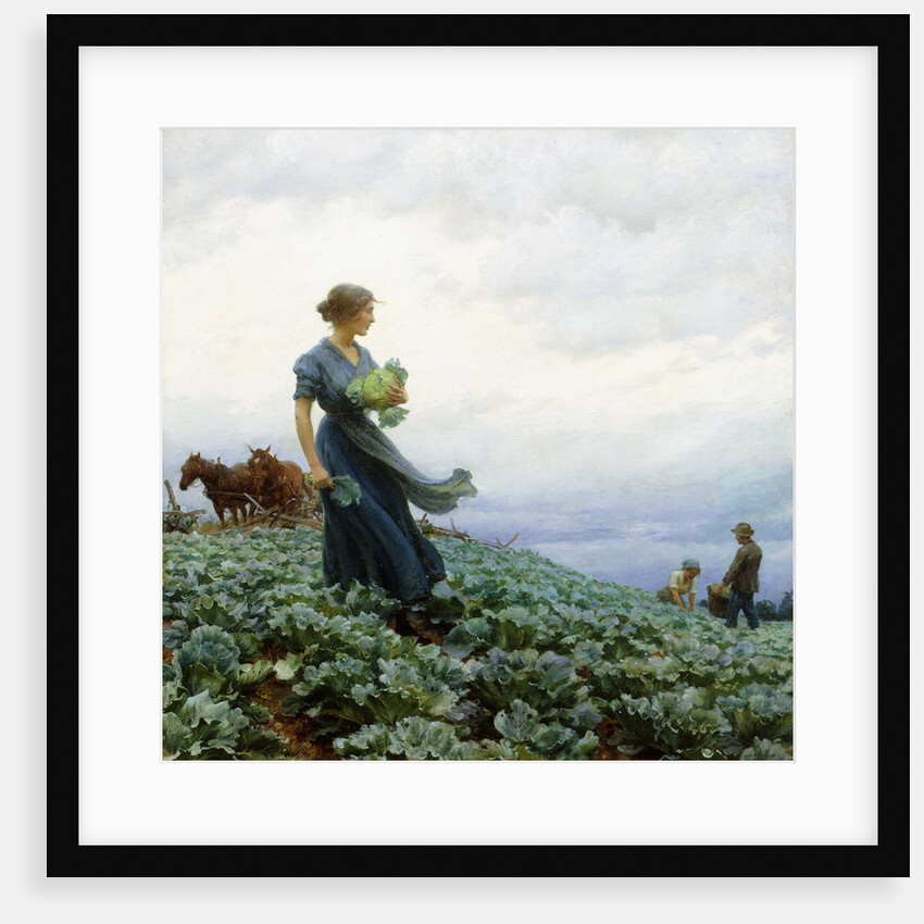 The Cabbage Field by Charles Courtney Curran