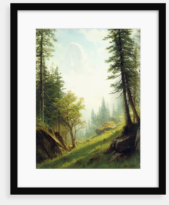 Among the Bernese Alps by Albert Bierstadt