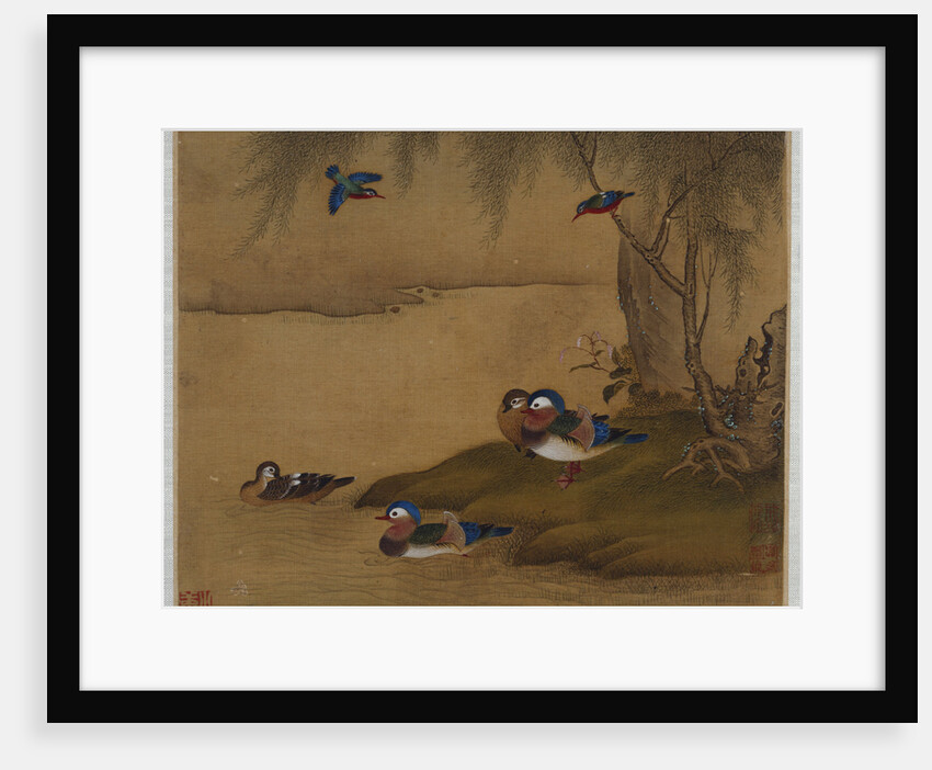 Mandarin ducks playing on a willow bank from an album of bird paintings by Gao Qipei