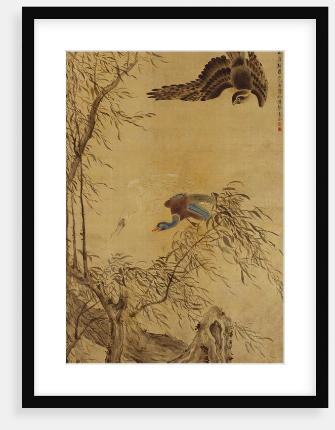 Falcon Hunting Prey by Hua Yan