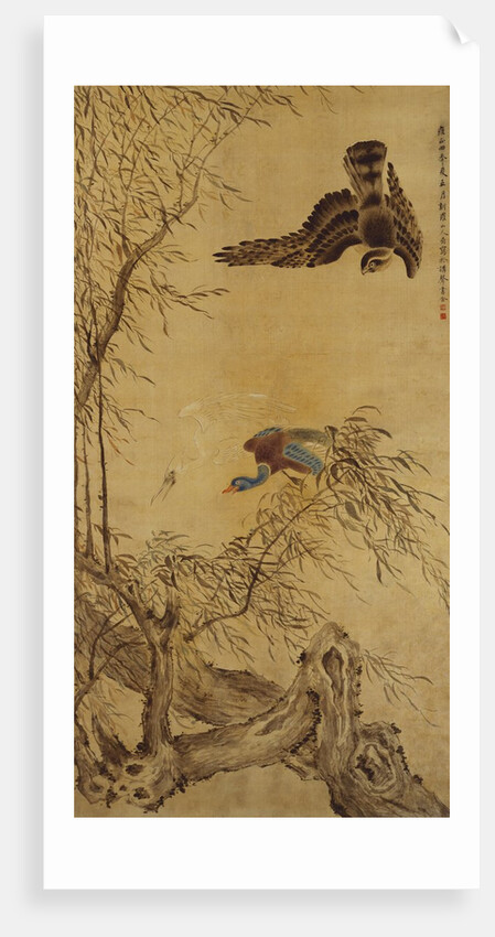 Falcon Hunting Prey by Hua Yan