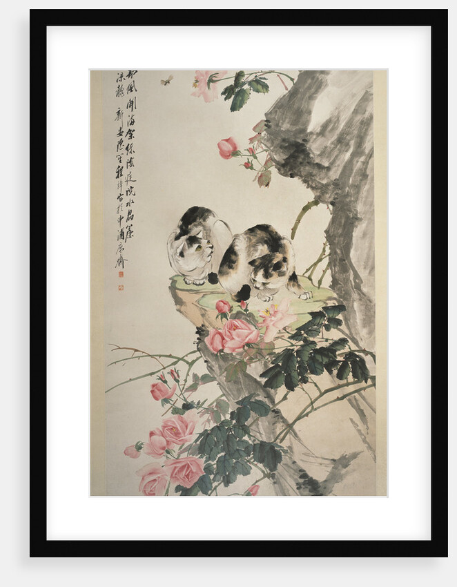 Cats on a Rock with Roses by Cheng Zhang