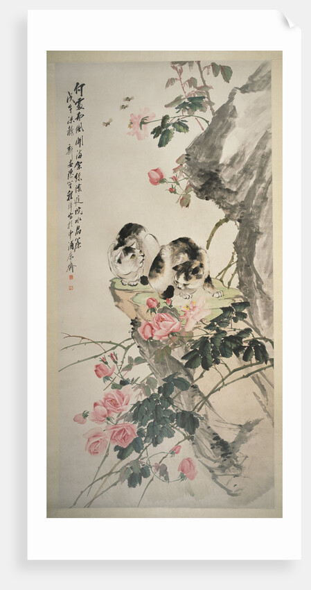 Cats on a Rock with Roses by Cheng Zhang