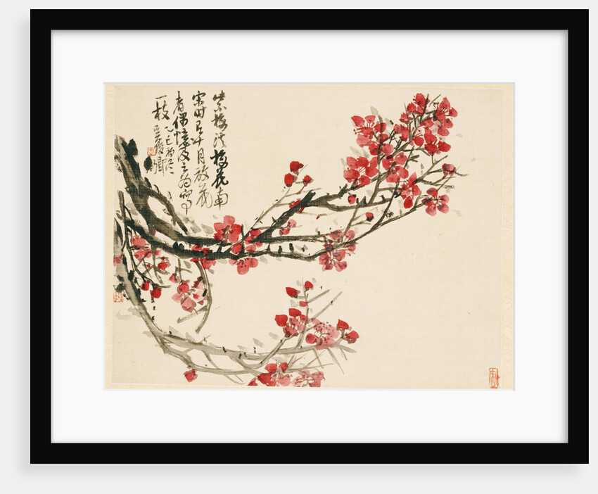 Plum Blossoms by Wu Changshuo