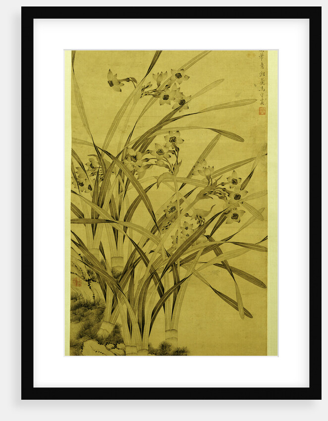 Narcissus by Ma Shouzhen